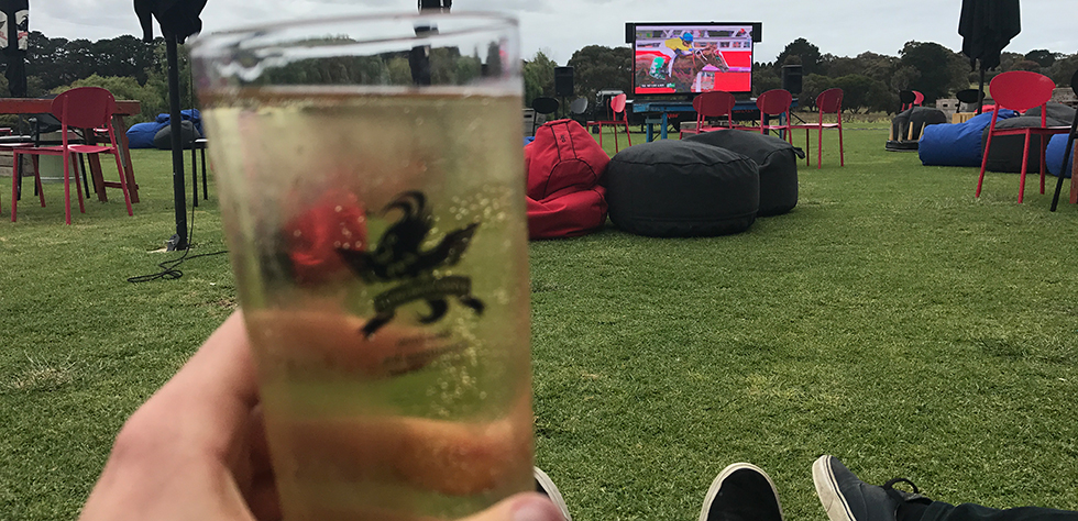 media that moves digital screen 6 melb cup leura 2 980px